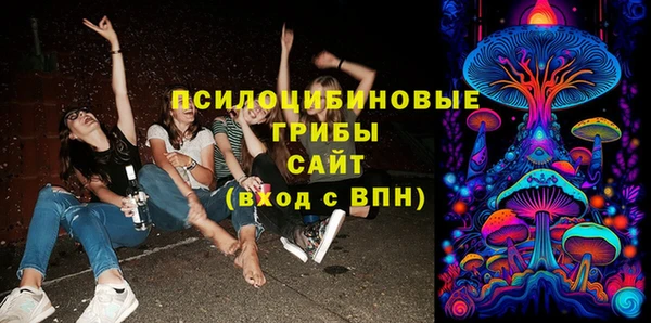 прущие грибы Александровское