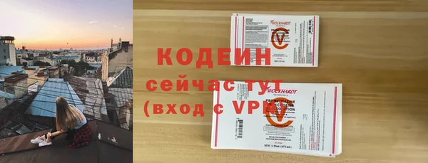 прущие грибы Александровское