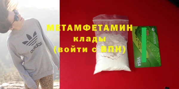 прущие грибы Александровское
