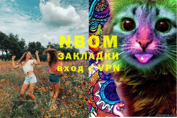 прущие грибы Александровское