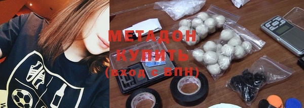 прущие грибы Александровское