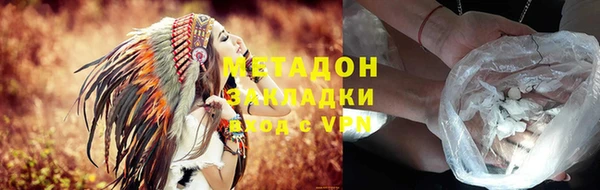 прущие грибы Александровское