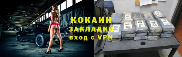 прущие грибы Александровское