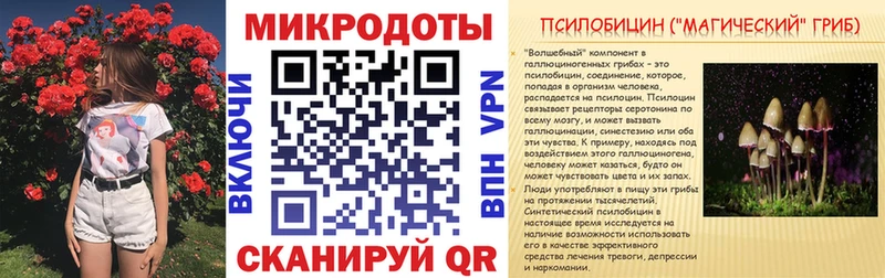 Галлюциногенные грибы Psilocybine cubensis  Адыгейск 