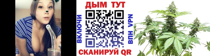 Конопля гибрид  Адыгейск 